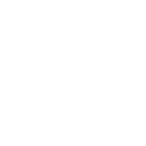 Šafa & Daily Wood